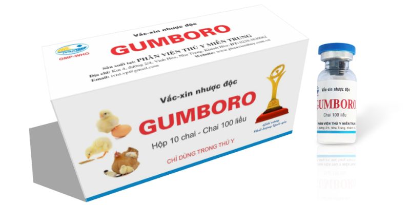 Biện pháp phòng ngừa bệnh Gumboro ở gà chọi hiệu quả